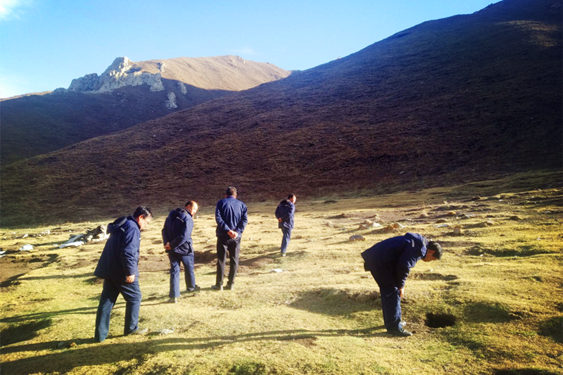 興海銅鑫召開(kāi)礦區(qū)生態(tài)治理動(dòng)員部署會(huì)